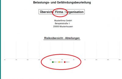 5-BuG-Software-Risikoübersicht-in-ges.Organisation